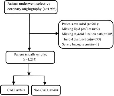 Interaction between triglyceride-glucose index and thyroid hormones on coronary artery disease risk in patient with euthyroid